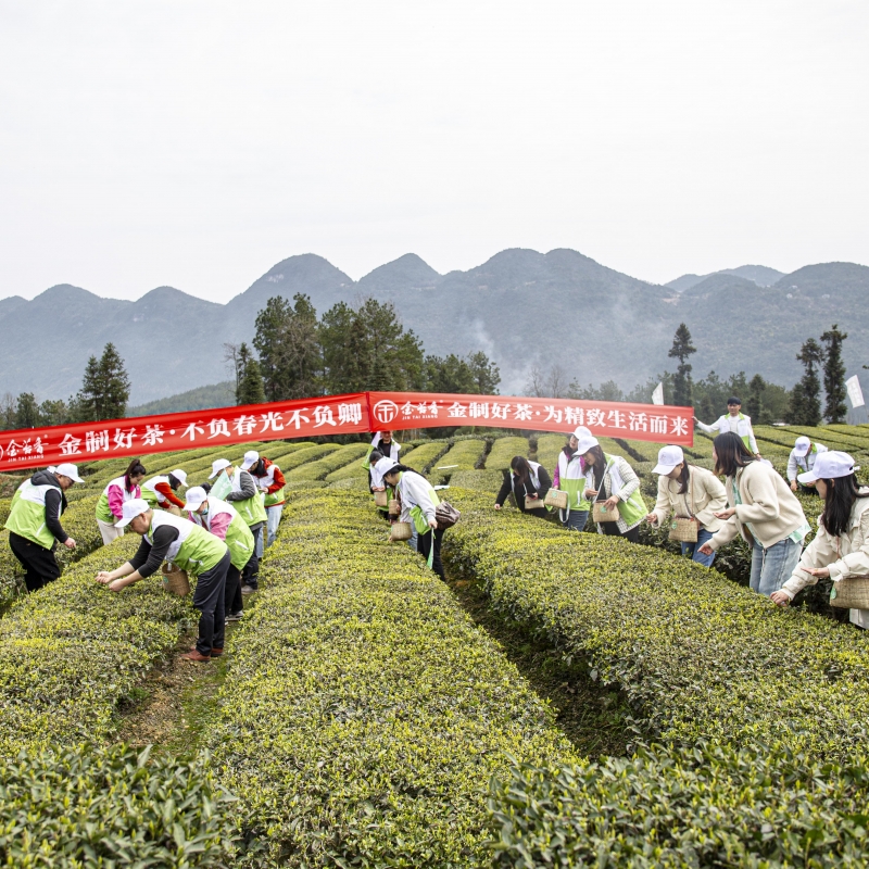 2024年3月约会春天第二季一期