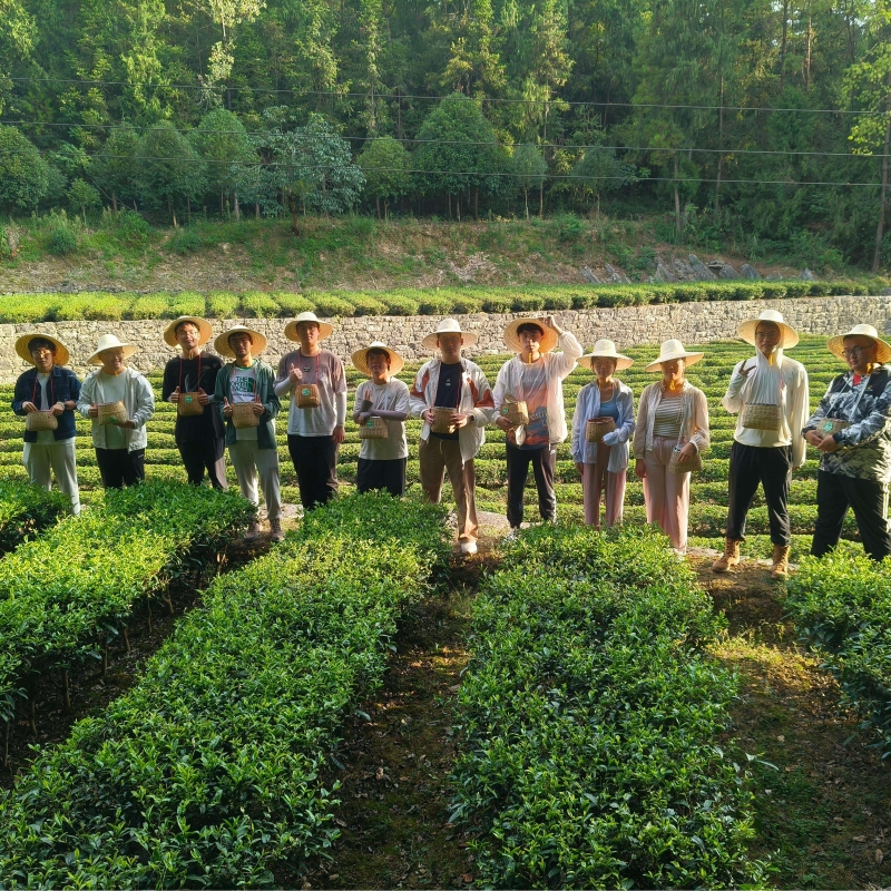 2024年8月26日武汉大学测绘学院赴恩施市白果树村“华枫枰栌”调研实践队